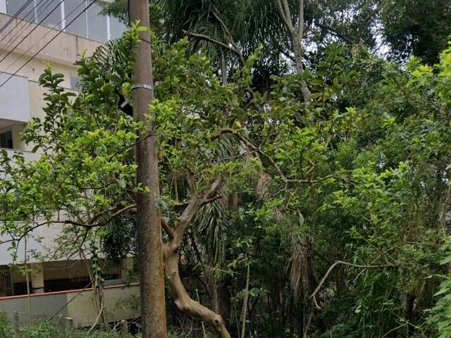 #7 - Área para Venda em Bombinhas - SC